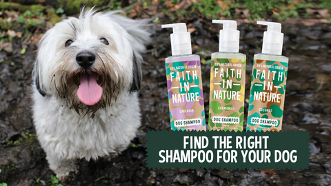 Millie's dog shampoo hotsell